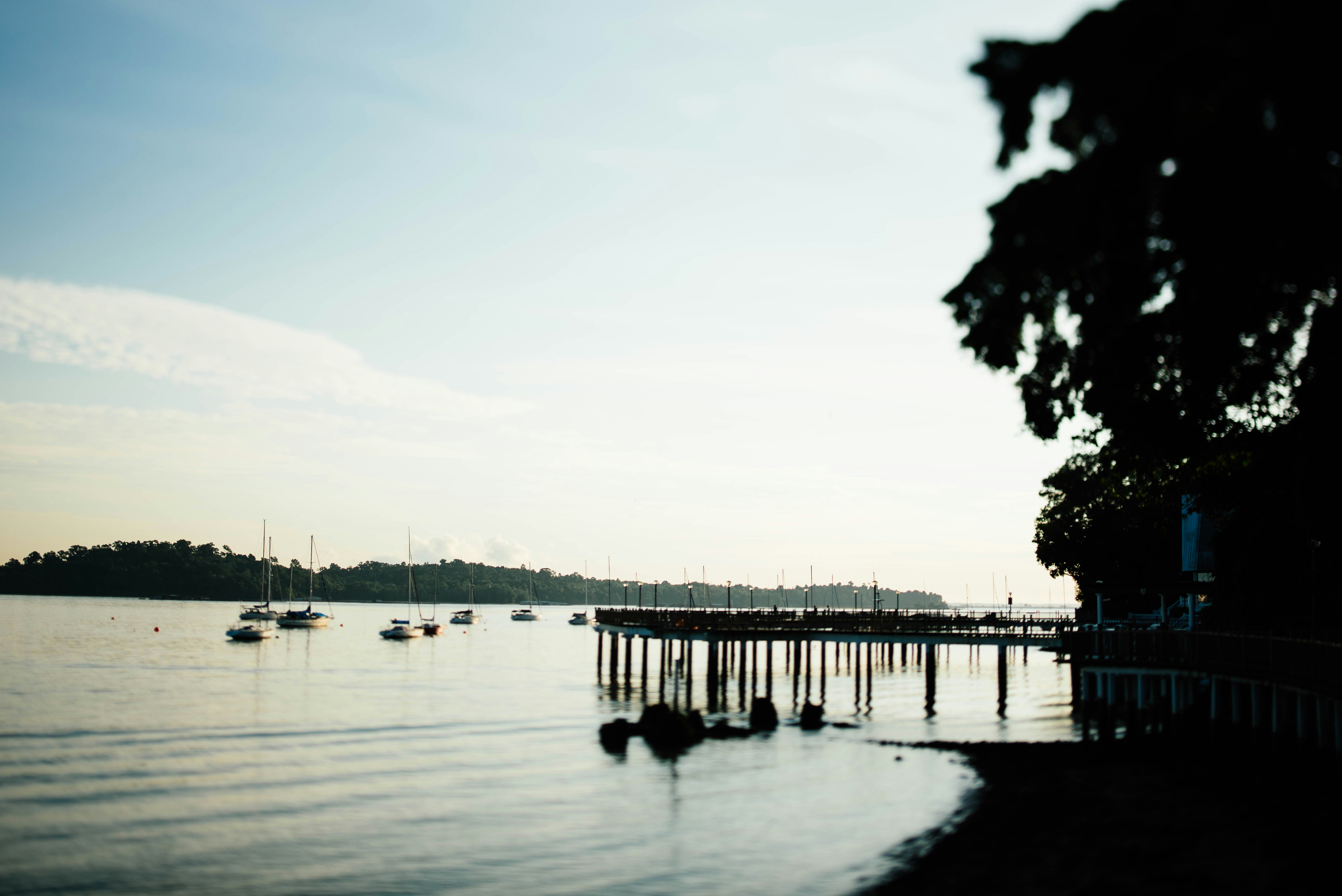 Photo by chuttersnap