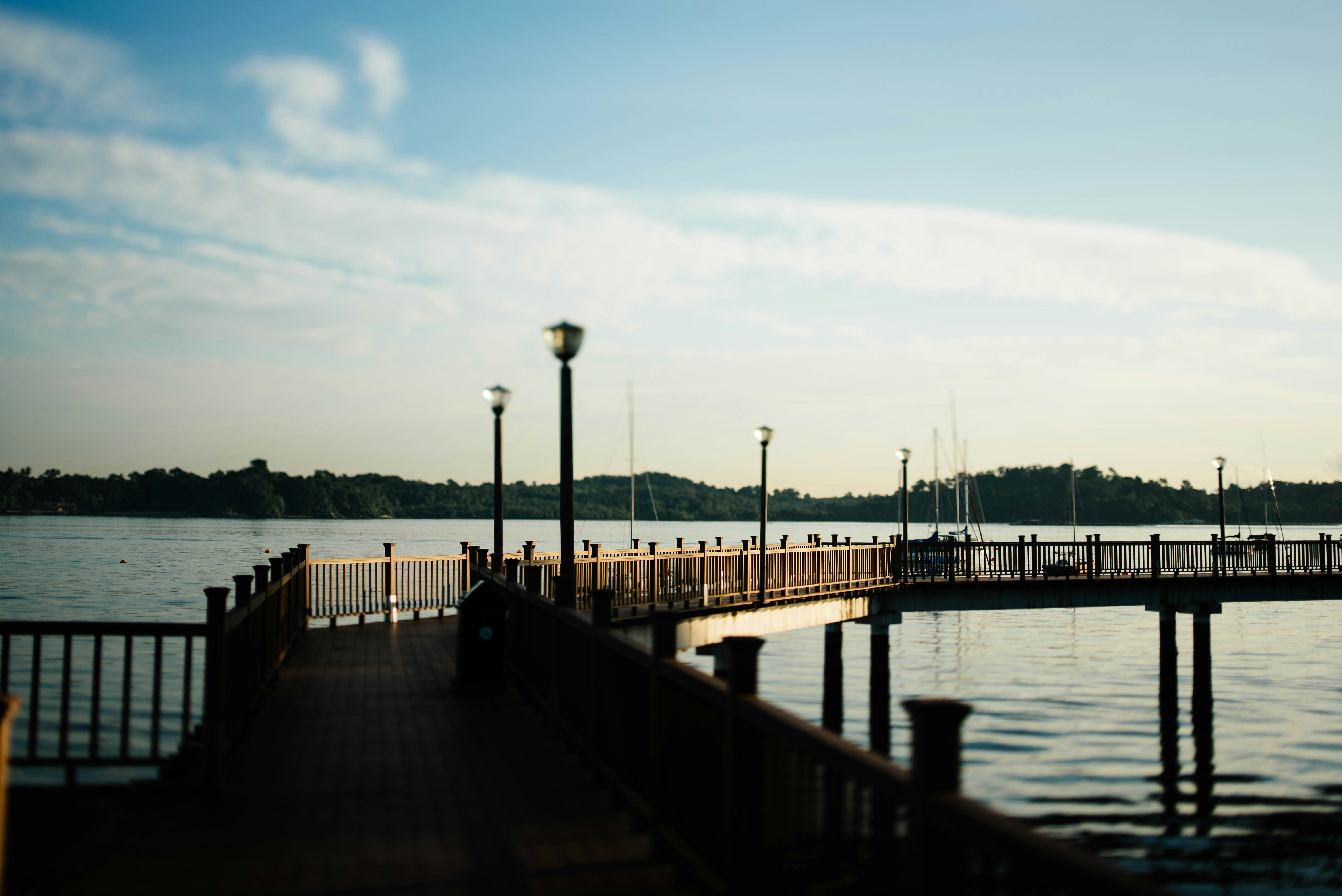 Photo by chuttersnap