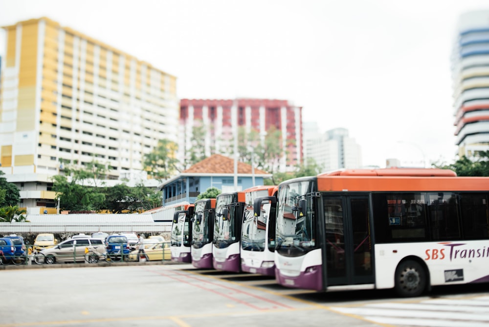 several white and red buses during daytime