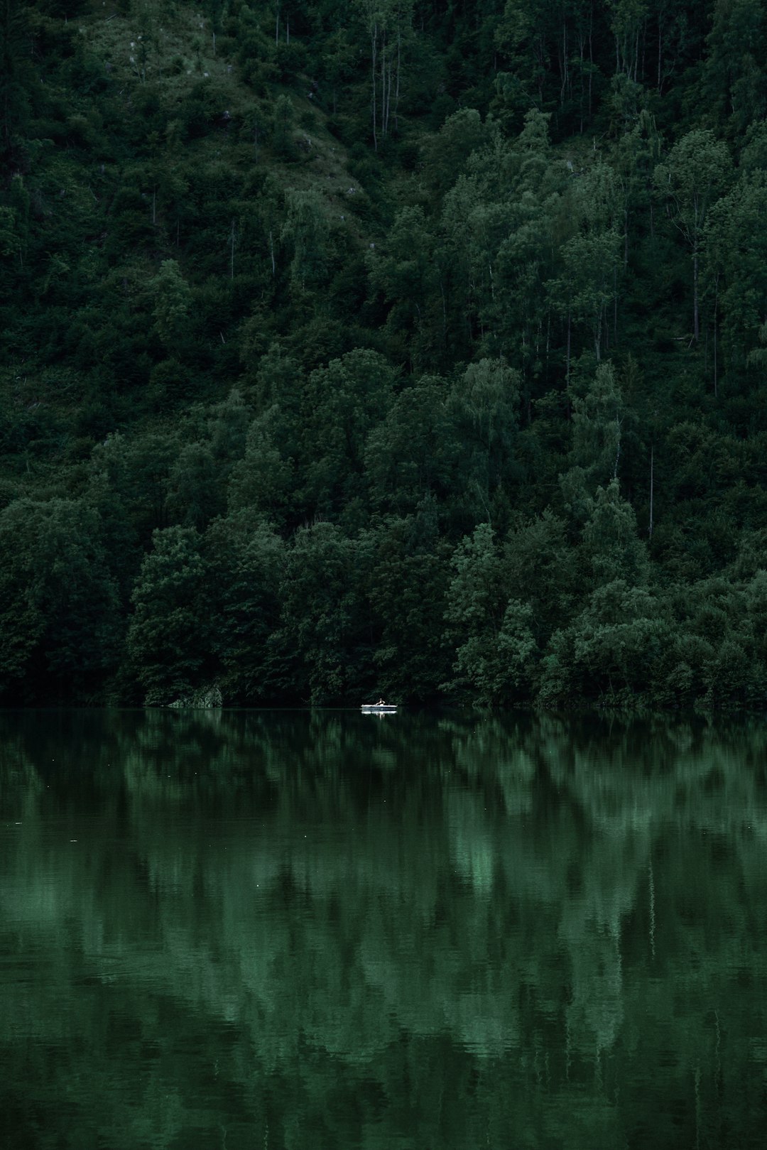 photo of Villach Watercourse near Falkertsee