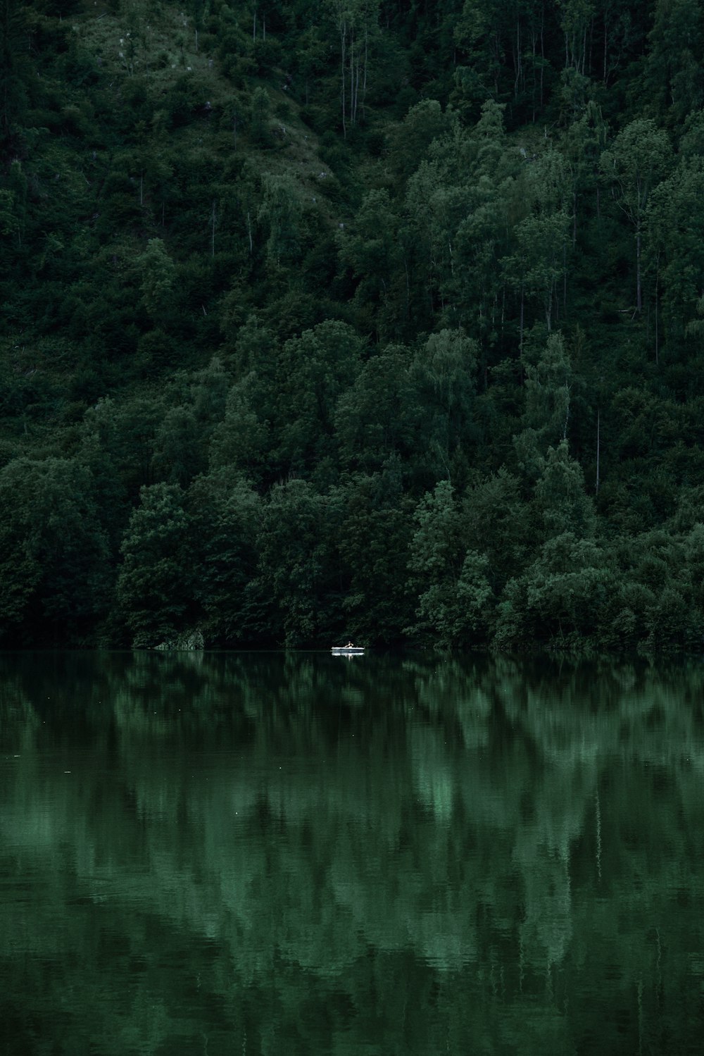 Bateau blanc sur plan d’eau