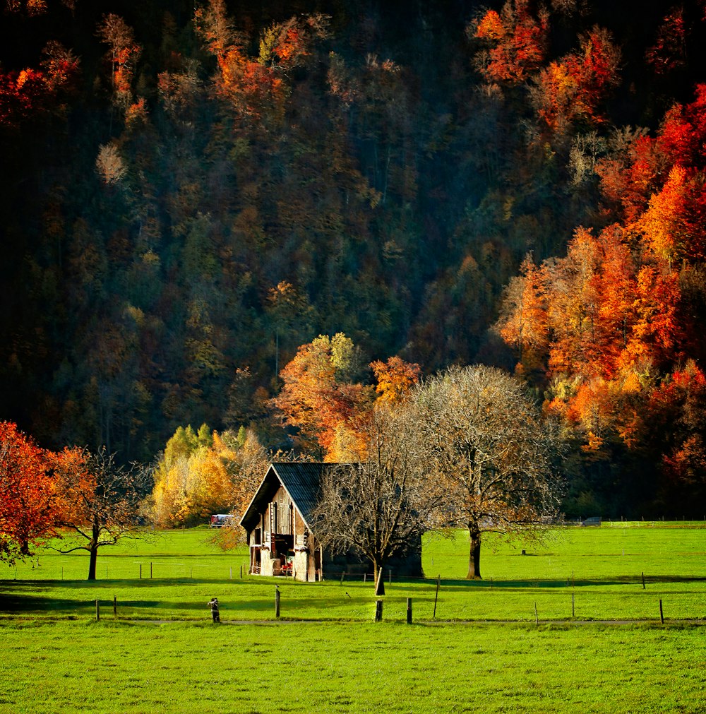 brown wooden house in green pasture surrounded by trees