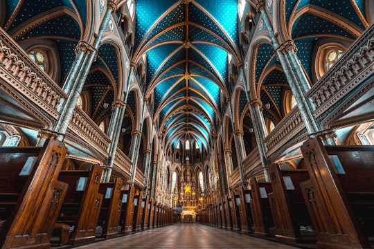 low angle photo of cathedral in Notre-Dame Cathedral Basilica Canada