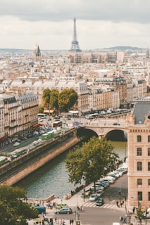 The busy streets of  Paris