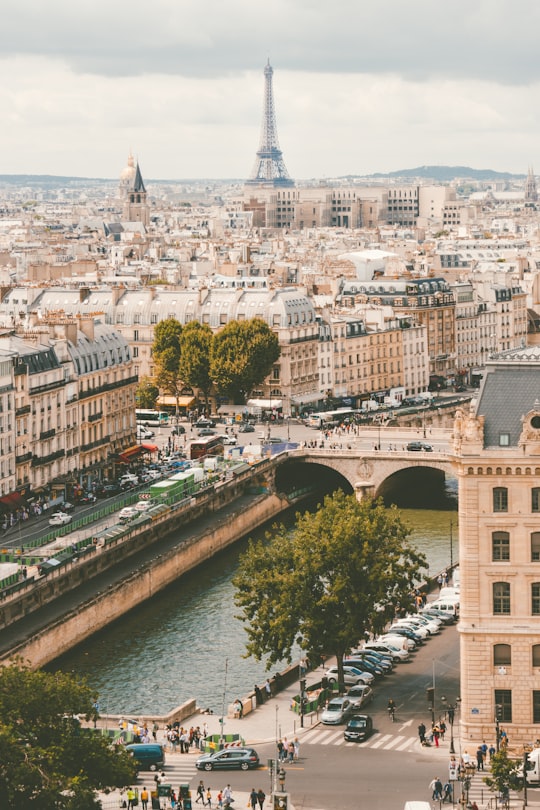 group of people walking near body of water and building under blue sky at daytime in Eiffel Tower France