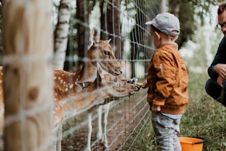 Métiers avec les animaux bien payés : 9 opportunités (vraiment) lucratives