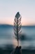 tilt shift lens photography of person holding white feather