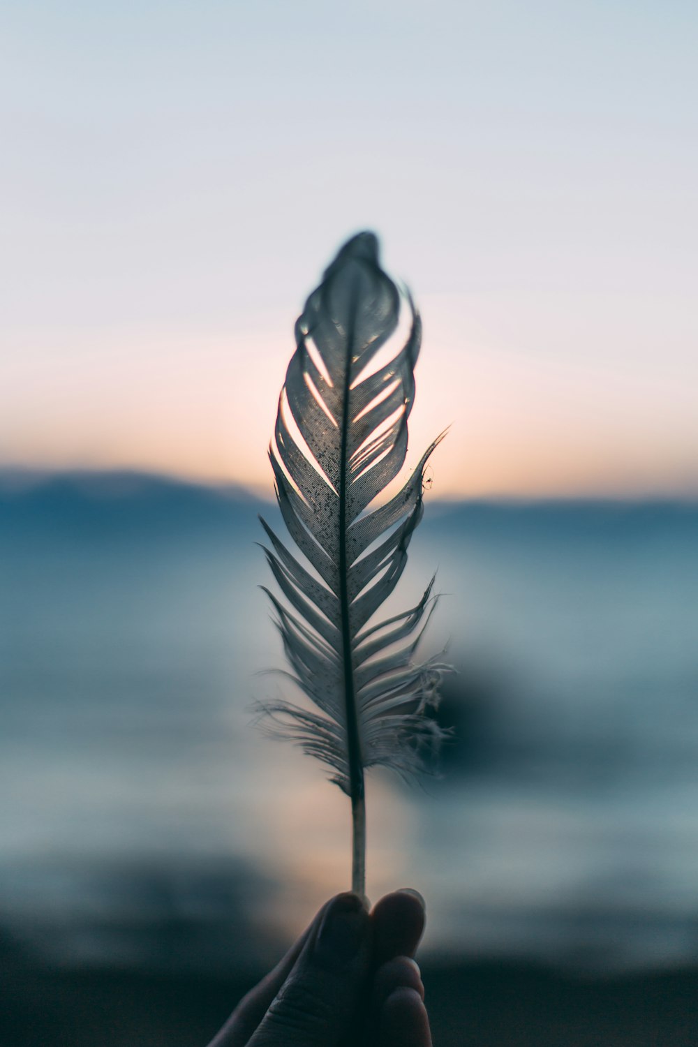 Fotografia da lente tilt shift da pessoa segurando a pena branca