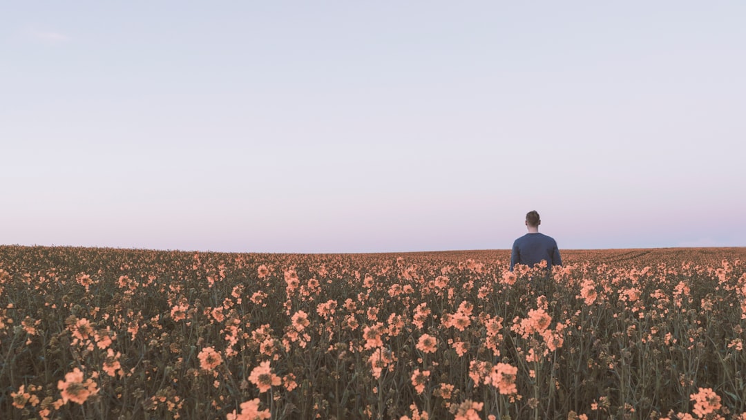 man in black shirt standing in the middle of peach-colored flower field under gray skies