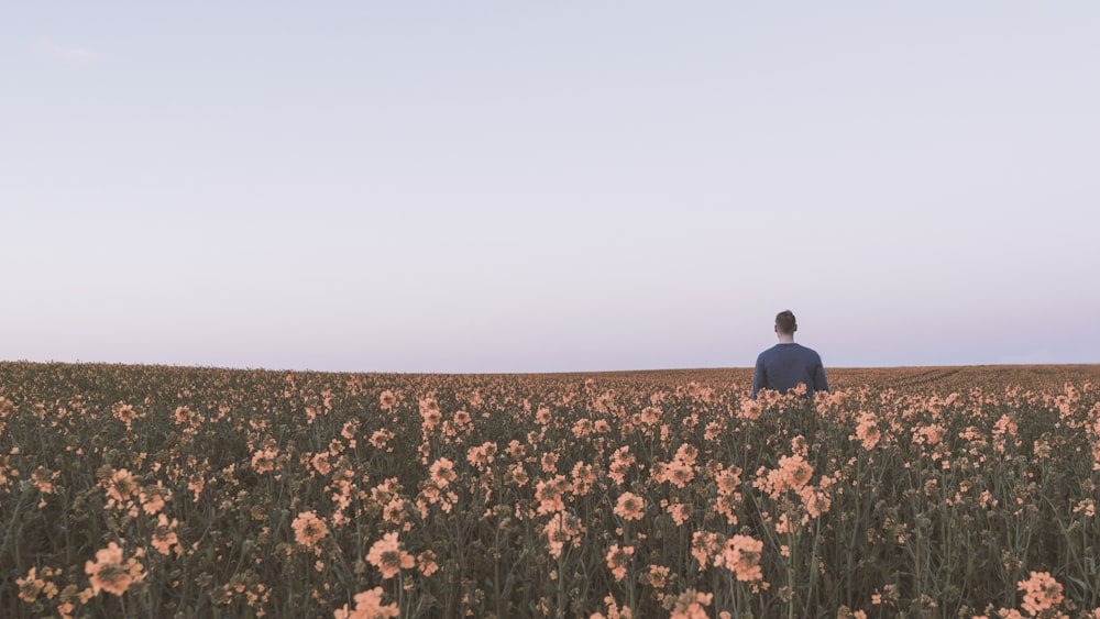 hombre con camisa negra de pie en medio de un campo de flores de color melocotón bajo cielos grises