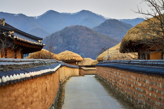 brown wooden houses surrounded by mountains in Andong South Korea
