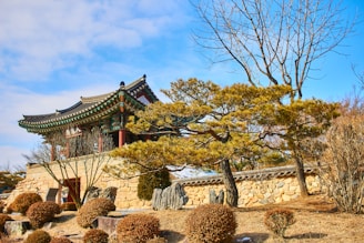 brown and white pagoda house
