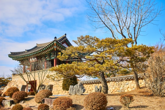 brown and white pagoda house