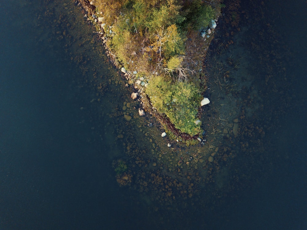 top view of island