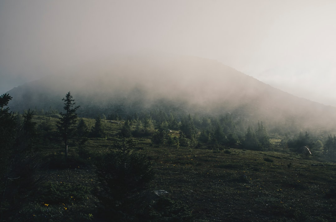 Hill station photo spot Khrebet Nurgush Russia