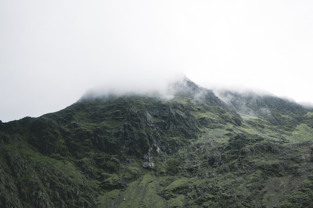 Grüner Berg mit dichtem Nebel bedeckt