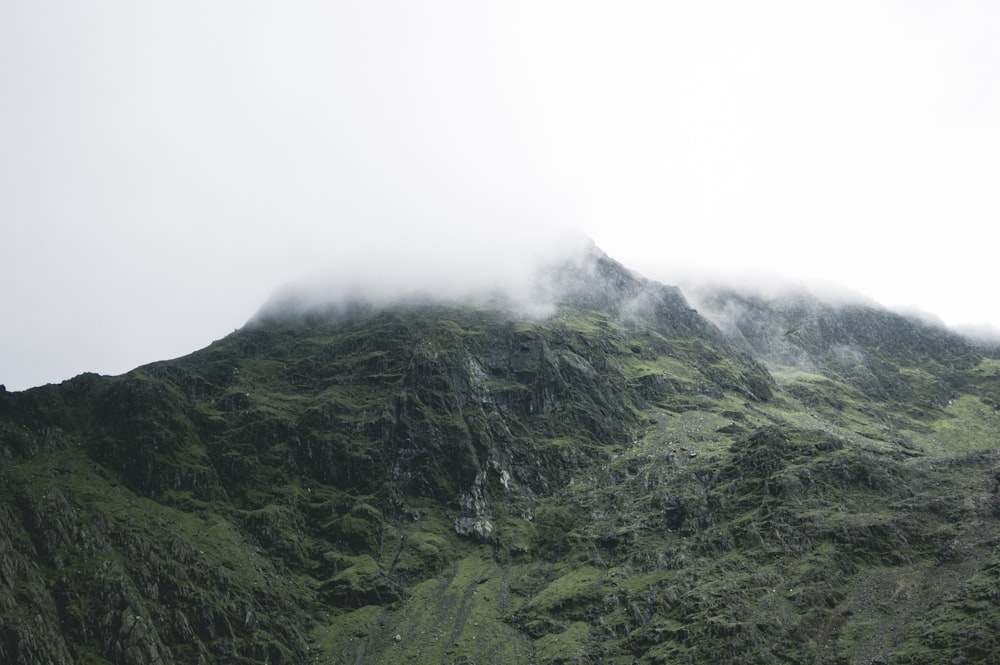 green mountain covered with thick fog