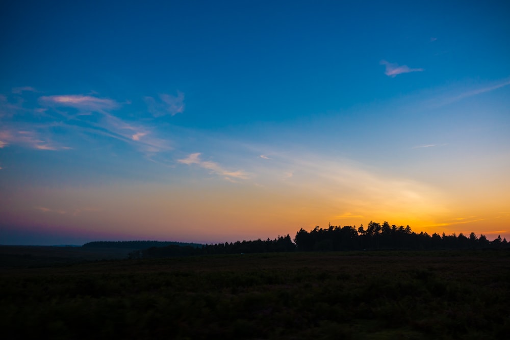 silhouette of forest under clear sky during sunrise