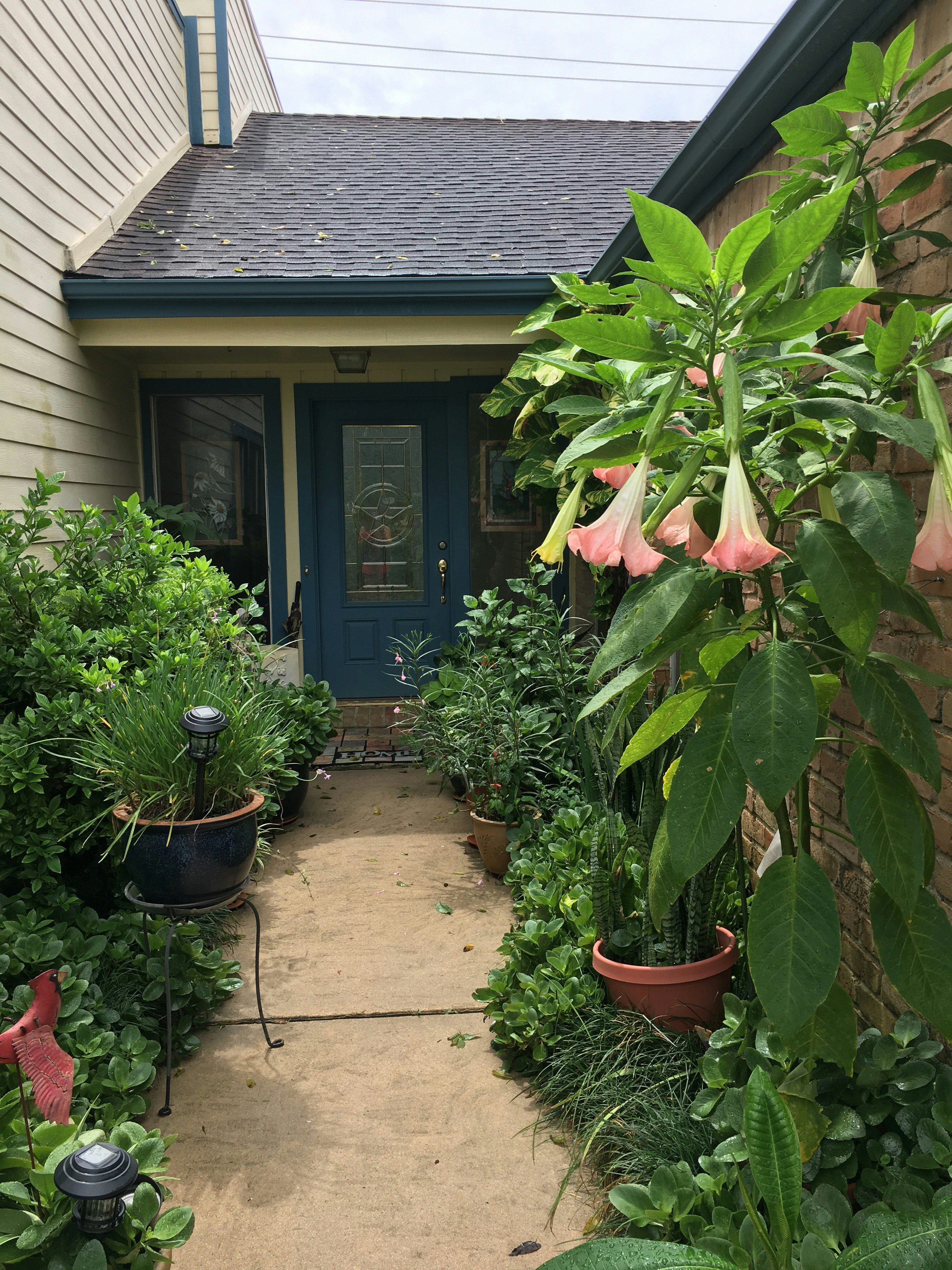 A welcoming entrance of a house with flowers.