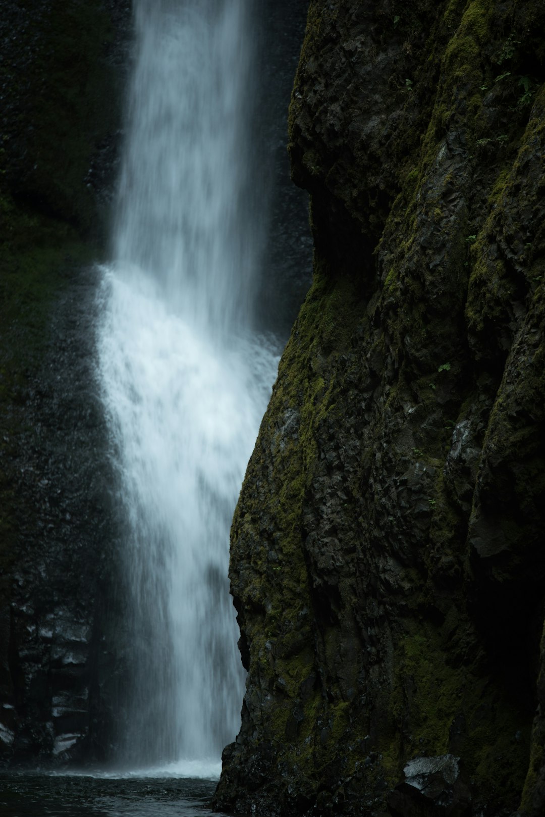 Waterfall photo spot Oneonta Gorge Falls Creek Falls