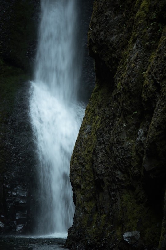 time lapse photography of flowing waterfall in Oneonta Gorge United States