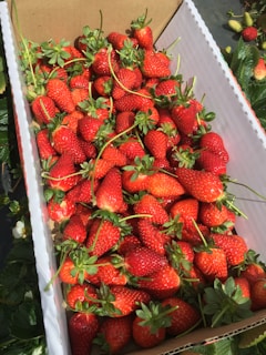 Close-up of a fresh fruit box filled with juicy strawberries, kiwi slices, and pineapple chunks, presented in a sleek white container.