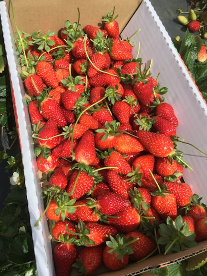 Close-up of a fresh fruit box filled with juicy strawberries, kiwi slices, and pineapple chunks, presented in a sleek white container.