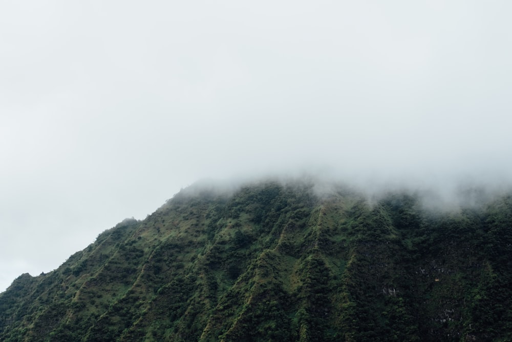 green mountain covered by clouds at daytime