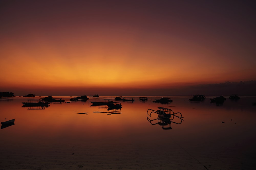 boat lot near ocean shoreline