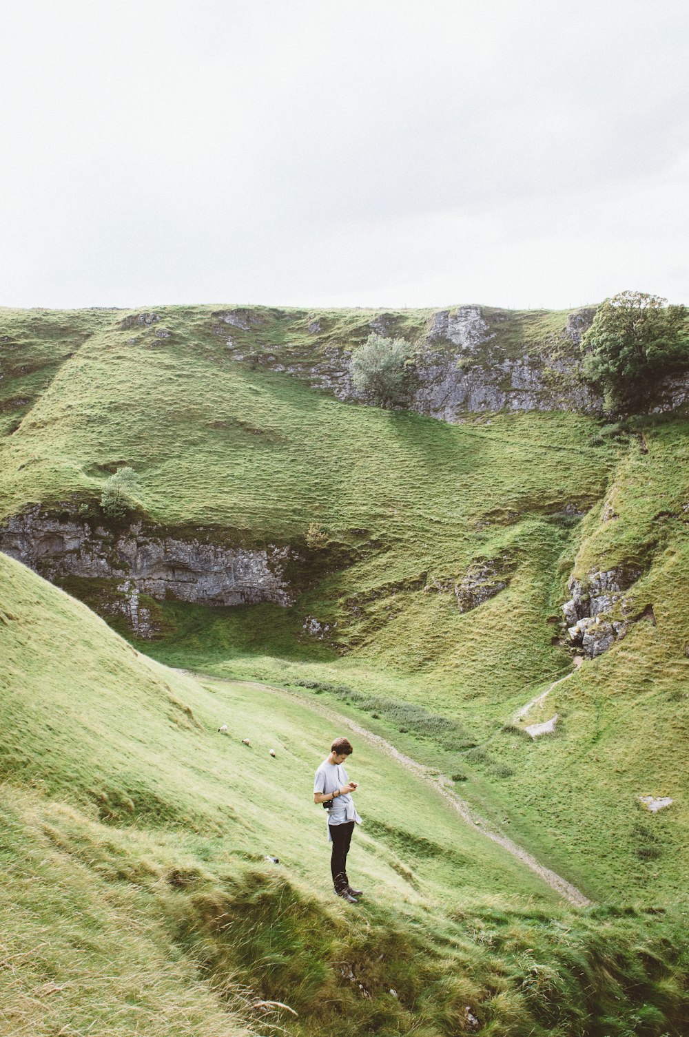 Mann steht auf grünem Gras auf dem Berg