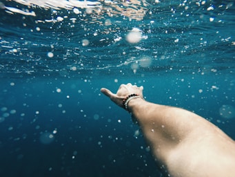 backgrounds for photo composition,how to photograph shaka underwater; person taking a picture underwater