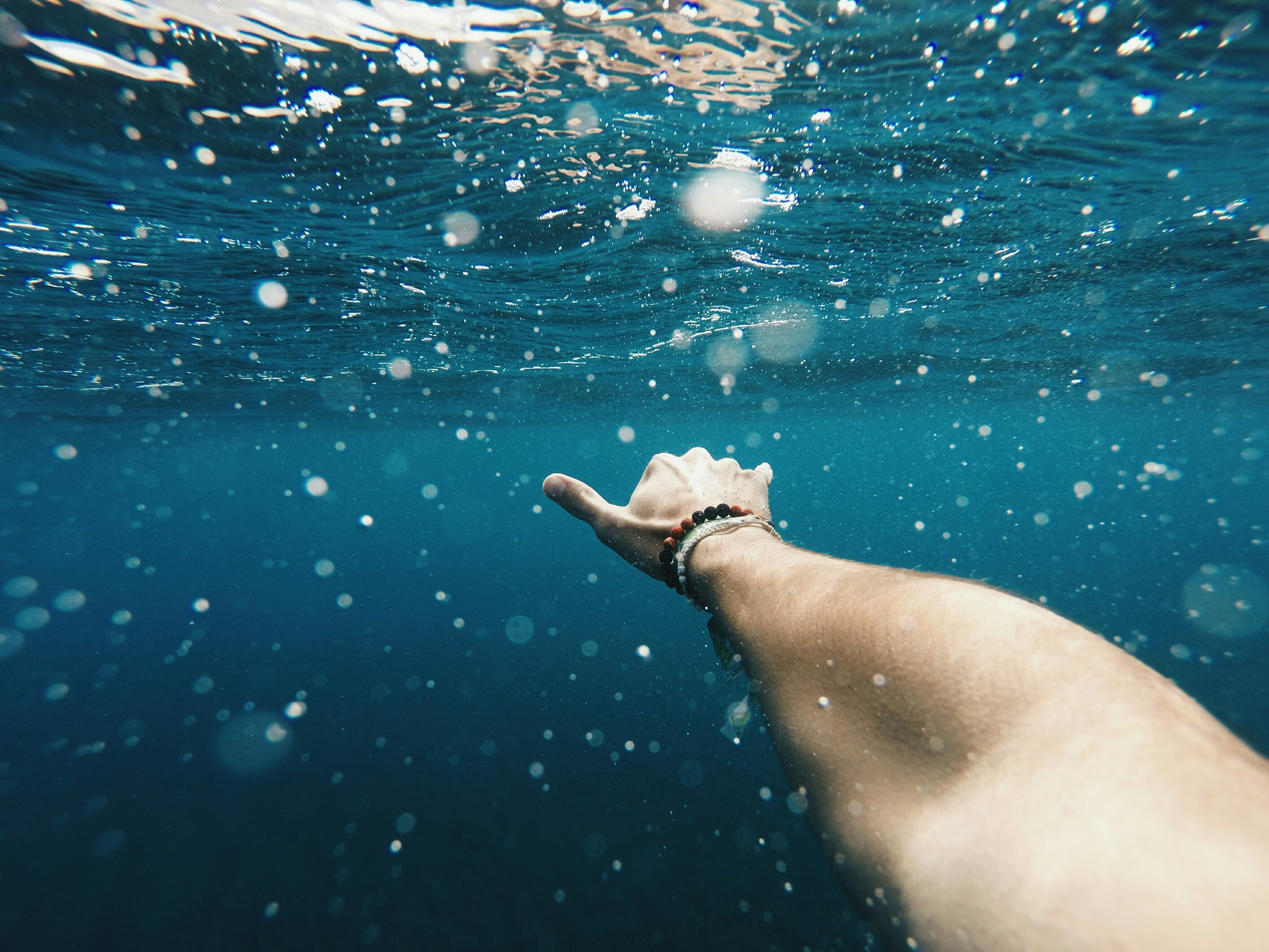 great photo recipe,how to photograph shaka underwater; person taking a picture underwater