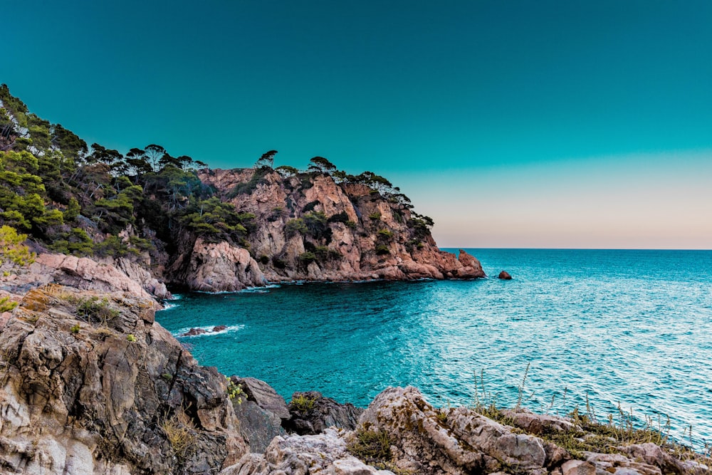 緑の木々に覆われた島