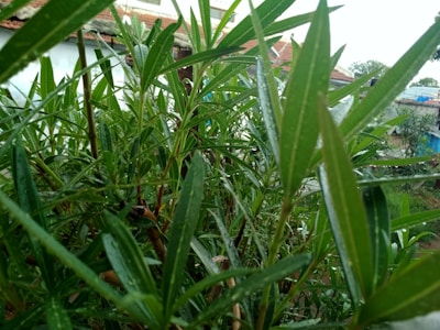 Close-up of a rainwater harvesting system integrated into a green building.