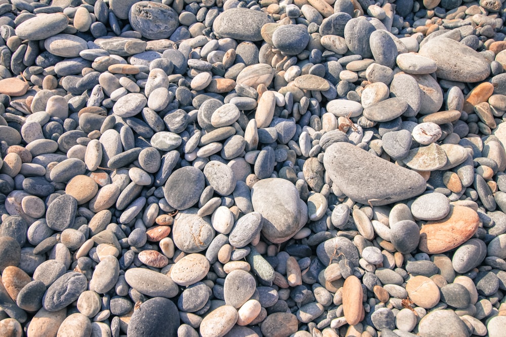 gray and brown stones