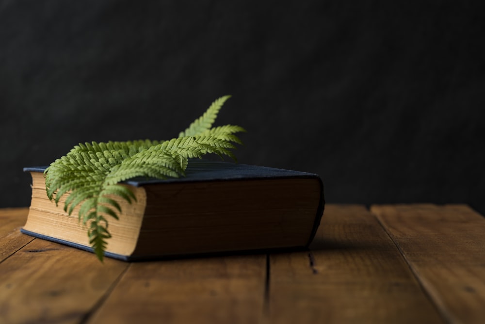 green leaf on top of blue hardbound book