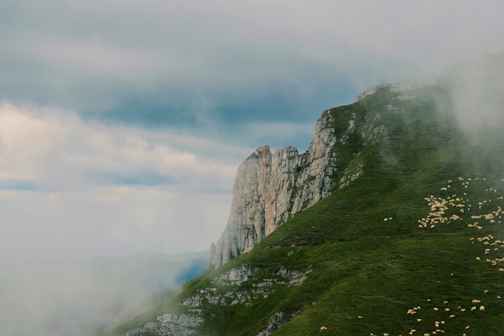 mountain with green grass