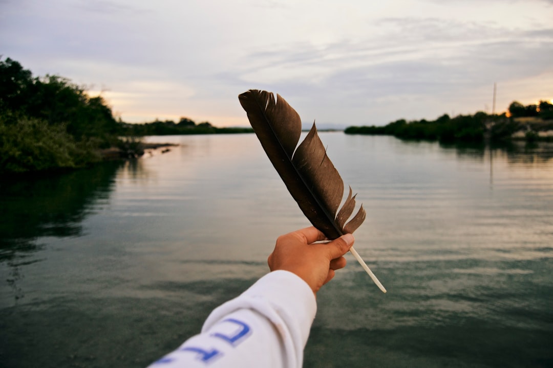 person holding black feather