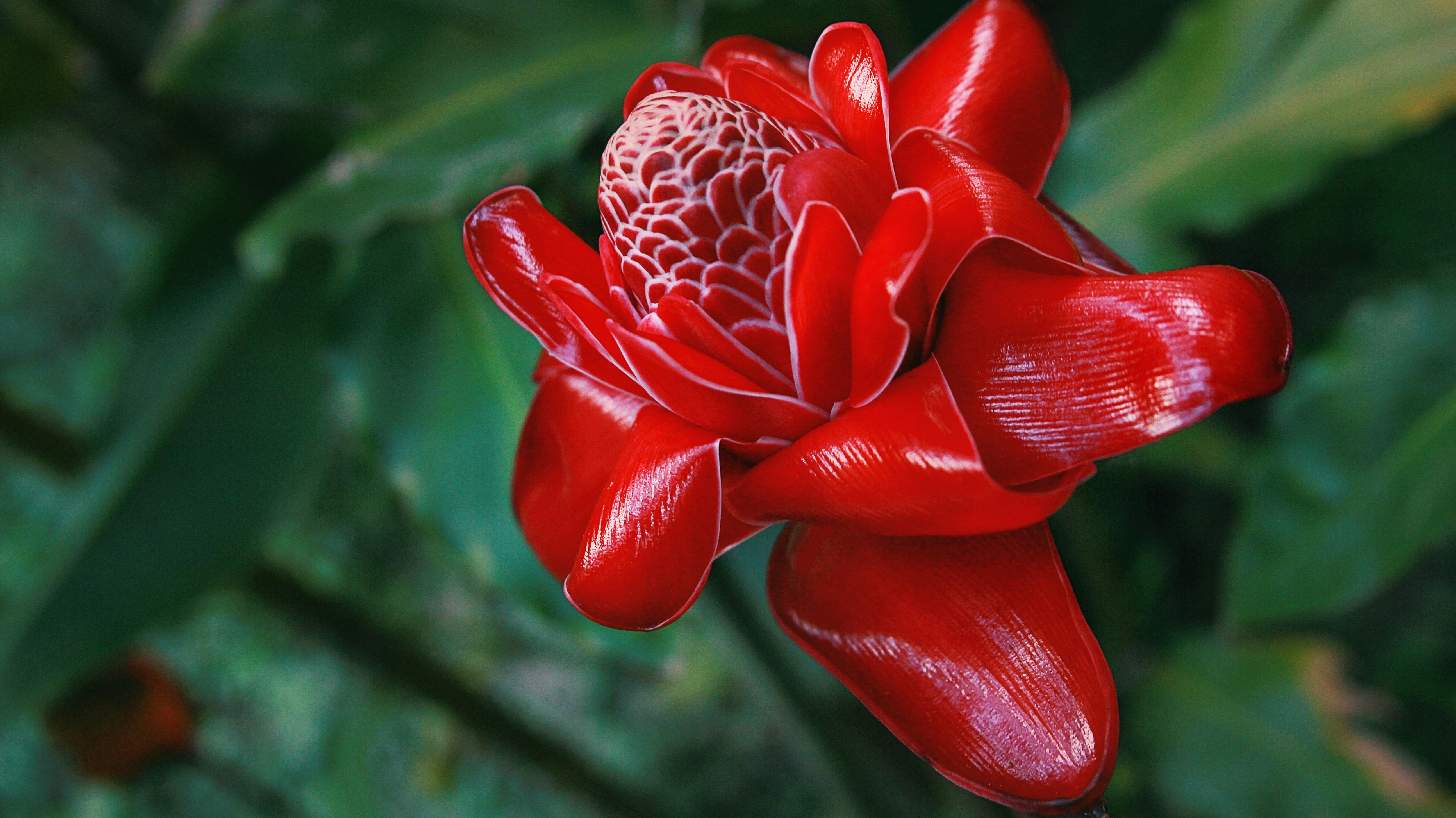 Photo by jaithesketchguy