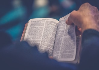 person's hand holding book page