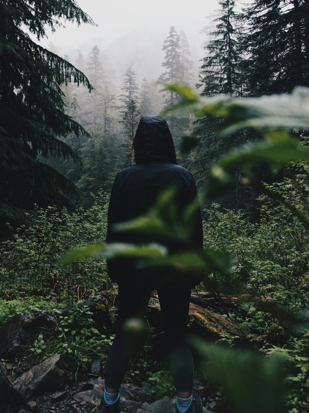 man standing behind green plant