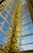 A tall, intricate glass sculpture with vibrant shades of yellow, blue, and green, extending upwards towards a high ceiling with large glass windows. The sculpture's swirling and twisting shapes create a dynamic and artistic impression.