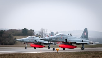 two gray jet fighters