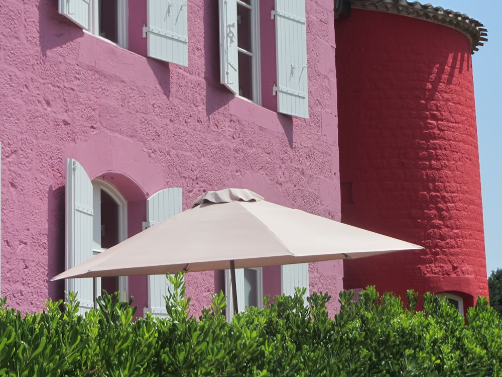 patio umbrella behind plants near pink painted concrete building
