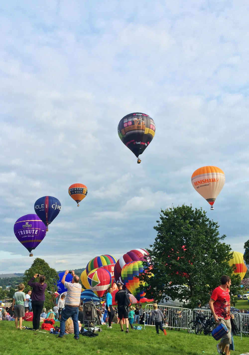 hot air balloon display