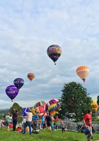 hot air balloon display