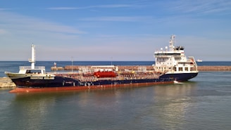 A large cargo ship named 'Besiktas Iceland' is docked at a port with calm water. The vessel has a dark hull and white superstructure, with red accents. Behind it, a breakwater protects the harbor, and a distant smaller vessel is visible on the horizon. The sky is clear with light clouds.