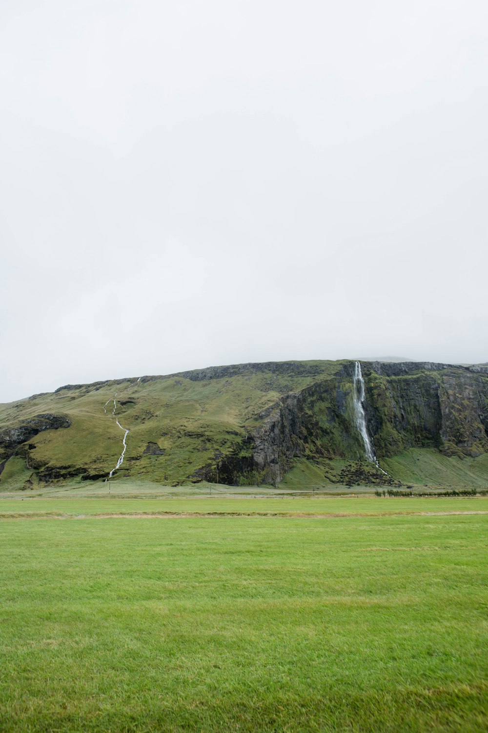 green grass covered hill