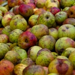 focus photography of green-and-red fruits