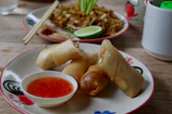 Vibrant plate of crispy spring rolls served with a tangy dipping sauce on a rustic wooden table.